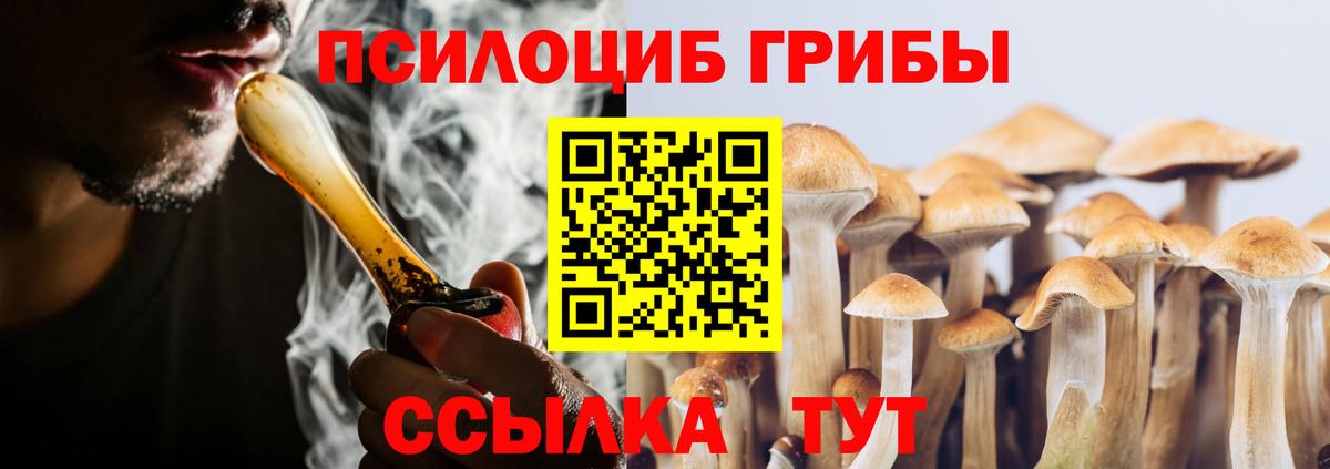 Черногорск  Галлюциногенные грибы Cubensis  Вход с VPN 